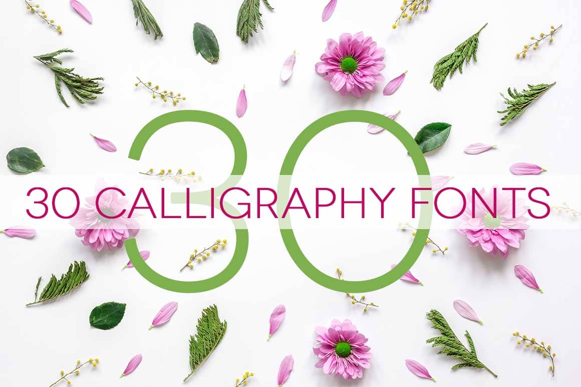 Calligraphy Fonts